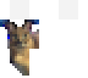 bigfloppa