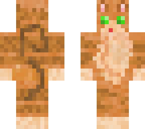 brown tabby cat skin