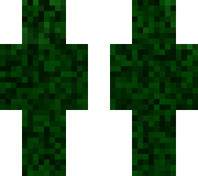 camouflage 1