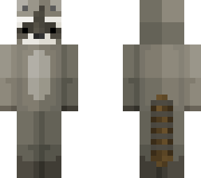 raccoon