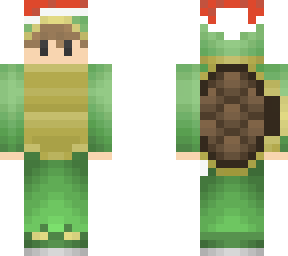 christmas turtle