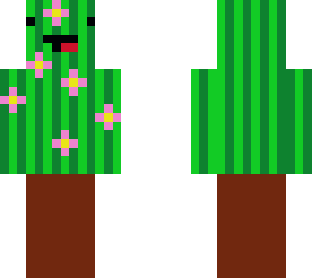 derp cactus is a pot