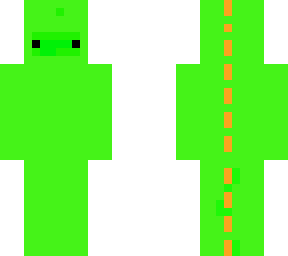 lizard