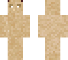 desert citizen