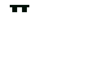 sunglass template