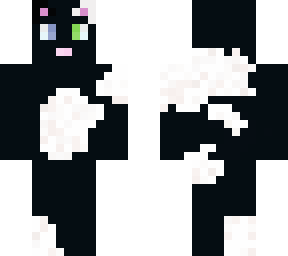 black and white cat