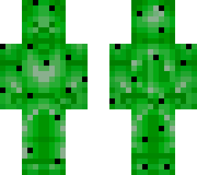 cactus steve