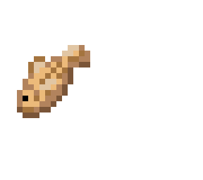 codder the cod