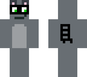 racoon
