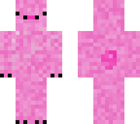 cute pig