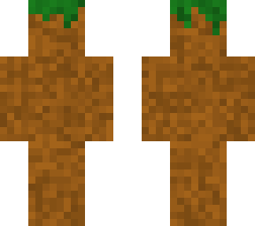 grass block :)