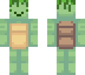 happy turtle guy