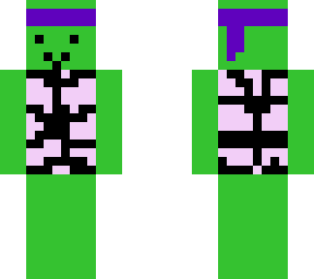 the best donatello skin from tmnt