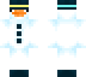 snow duck