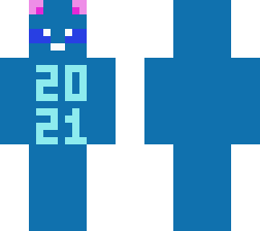 new years cat
