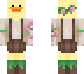 spring duck