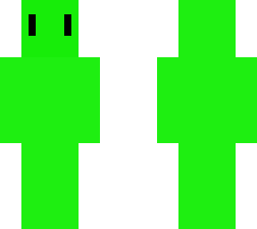 tiny spider skin