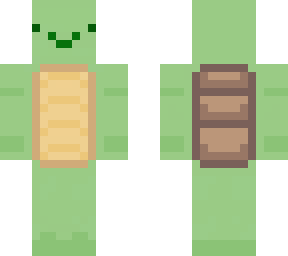 turtle