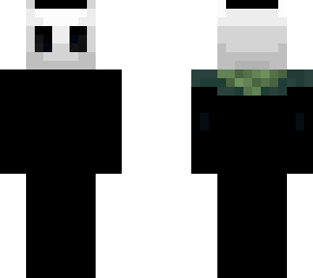 hollow knight skin