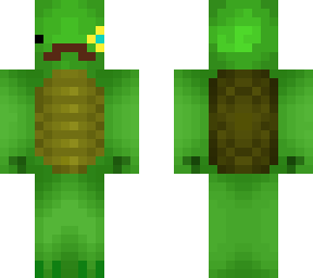 main skin