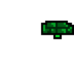 terd the turtle xd