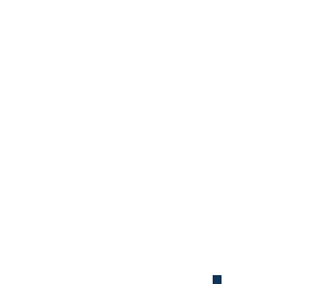 transparent