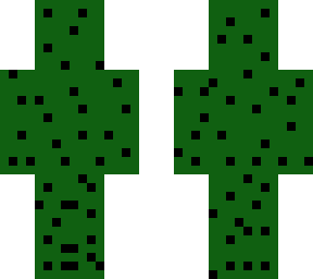 cactus boy