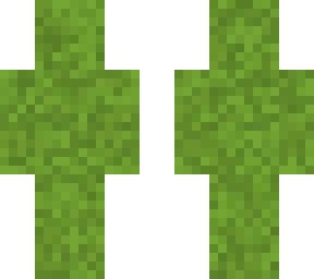 camoflouge skin (grass version)