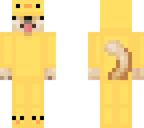 dog onsie