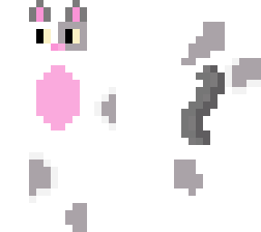 grey and white cat