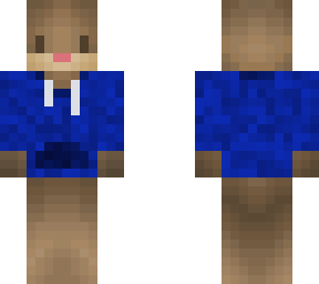 hamster with blue sweatshirt