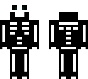 human skeleton
