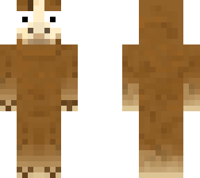 llama