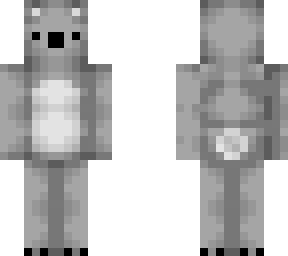 plain koala