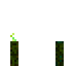 sea pickle