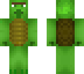 villerger turtle