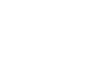 white dot