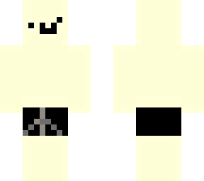 a skin you can change (basically quackity's skin but more detail)