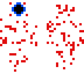 bob the eye