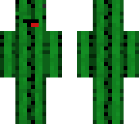cactus derp