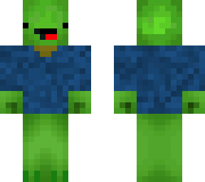 turtle with shirt
