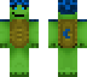 wizard turtle!!!!!