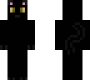 basic black cat