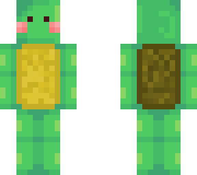 cute turtle