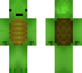 lc turtle