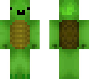 timmy the turtle