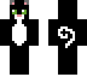 black and white cat