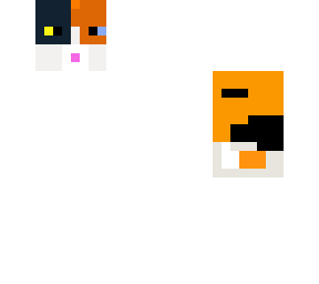 calico cat
