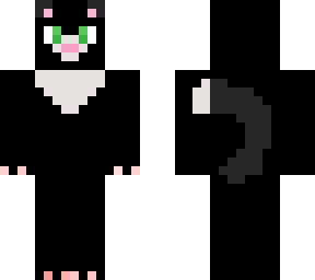 my cat