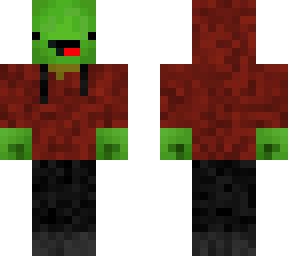turtle with hoodie